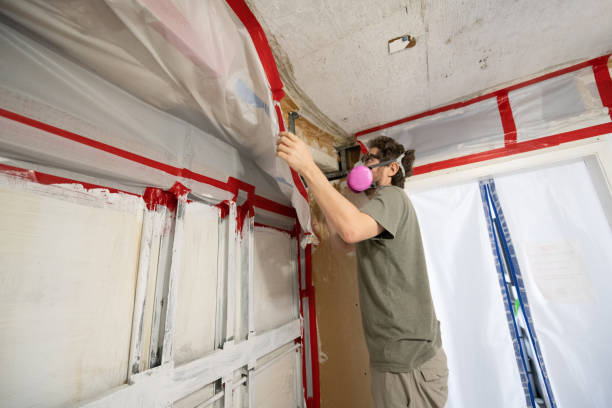 Best Mold-Related Health Consultation  in Central Islip, NY
